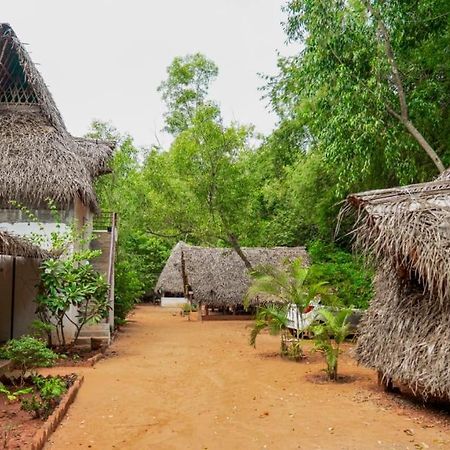 Nebula Nest Cafe & Hostel Auroville Exterior foto