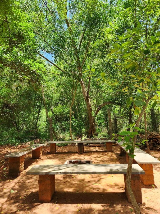 Nebula Nest Cafe & Hostel Auroville Exterior foto