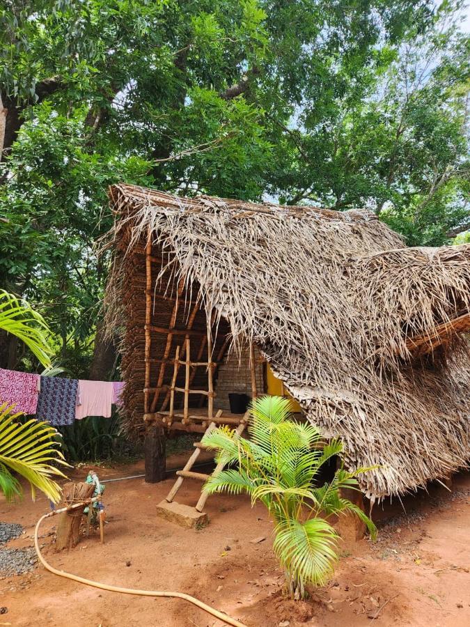 Nebula Nest Cafe & Hostel Auroville Exterior foto
